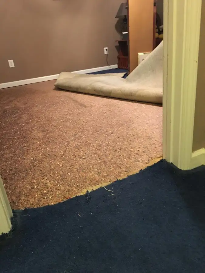 Carpet pad removal revealing water damage during Water Mitigation Services in Bon Air