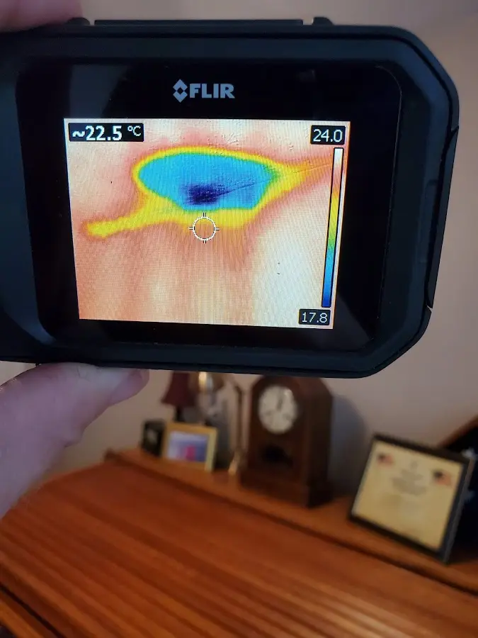 Thermal imaging inspection for water damage in Bon Air